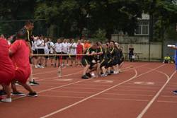 clip_image022.jpg Picture 24024540